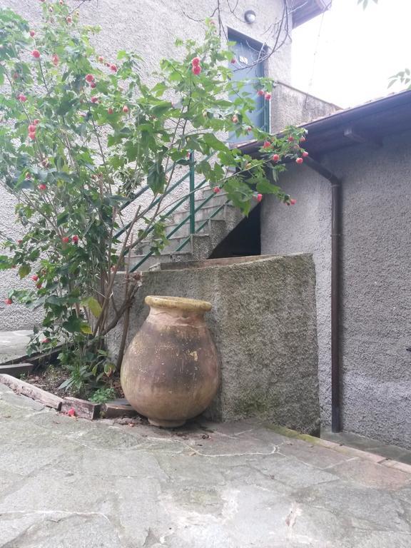 Agriturismo Olivarancio Leivi 외부 사진