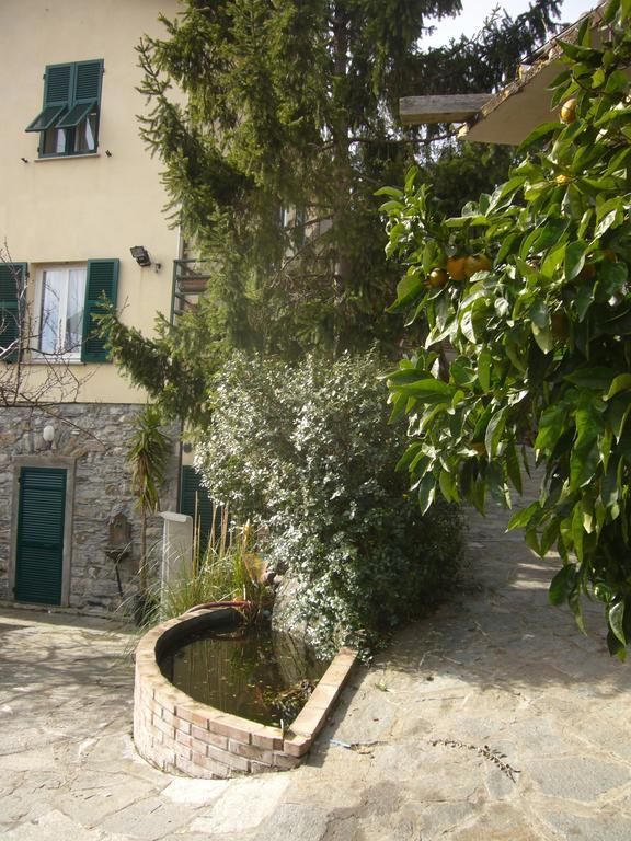 Agriturismo Olivarancio Leivi 외부 사진