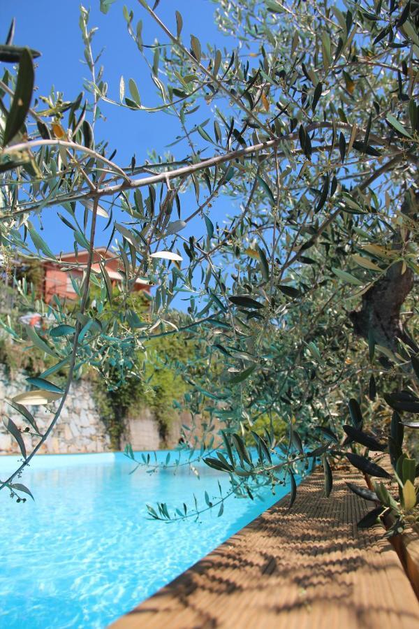 Agriturismo Olivarancio Leivi 외부 사진